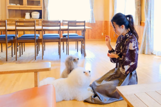 コテージ内