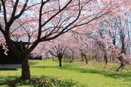 【HPからの予約がお得】GWは花神楽へ行こう！1泊朝食付宿泊プラン（5月2・3・4・5日宿泊分）