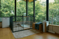 Ocean Pet Villa Suite Ocean Pet Villa Suite