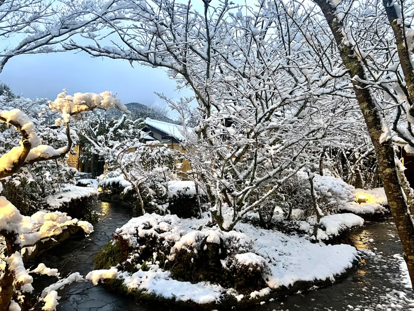 雪が積もったときは素敵な景色です♪
