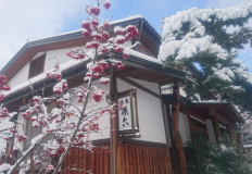 【GENROKU|Room Only】Simple no-meal plan 【GENROKU|Room Only】Simple no-meal plan