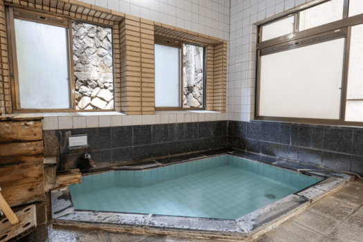 【Chitose-kan｜Room Only】Enjoy Nozawa plan with no meal
