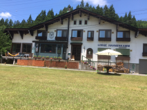 目の前は自由に遊べる芝生の公園！
四季の色を感じながらゆっくりとした時間を過ごせます。