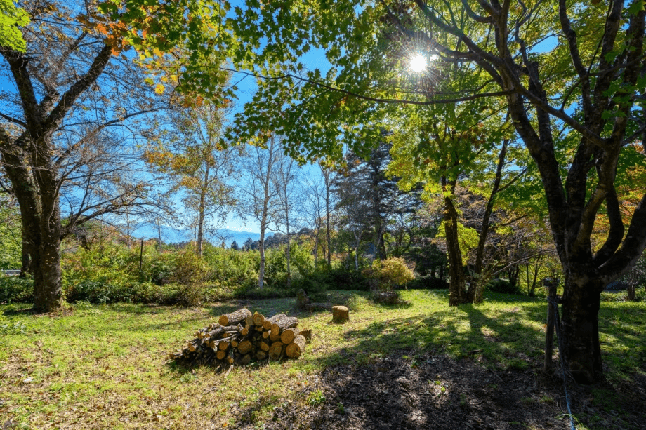 *【周辺】緑に包まれほっとひと息。自然の中を歩けば、心も体もリフレッシュ