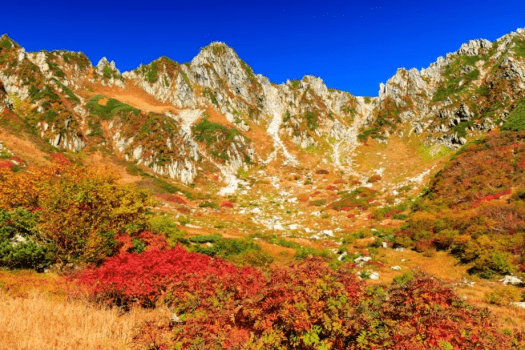 *千畳敷カール／紅葉の時期は圧巻！ナナカマドの赤やダケカンバの黄に染まる光景は、まるで絵画のよう！