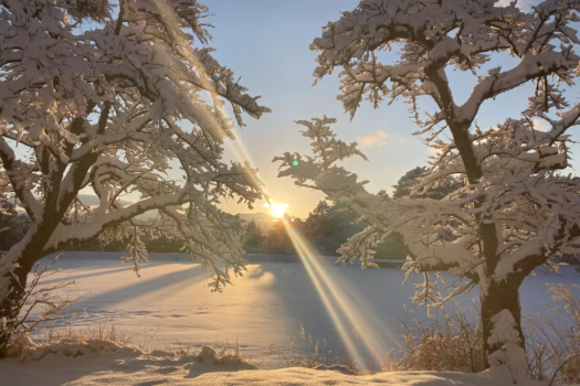 *【大沼湖】雪景色の朝の一コマ。白銀の世界に光が差し込む、幻想的な冬の朝です