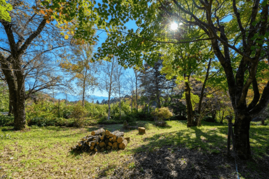 *【周辺】緑に包まれほっとひと息。自然の中を歩けば、心も体もリフレッシュ