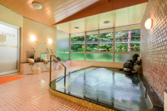 *【早太郎温泉】加水なし！やわらかで肌を包み込むような化粧水いらずの美肌の湯です