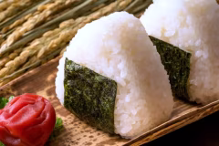 *おにぎり弁当イメージ/駒ケ岳登山に朝早く出発する方には、おにぎり弁当付プランがオススメ!