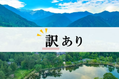 *訳ありプラン／お得に宿泊したい方必見！訳あり理由にご納得いただける方はぜひご検討ください！