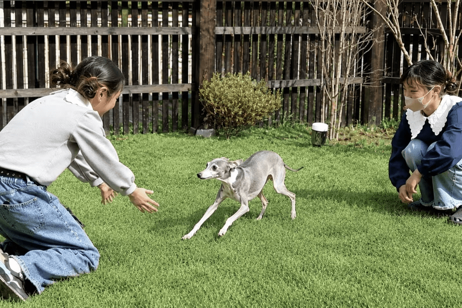 【ペットと泊まれる🐕食材持ち込みOK！古民家グランピング】大自然の中でBBQ♪愛犬🐶と一緒にグランピングで極上の体験があなたをお待ちしております※サウナ利用は別プランとなります