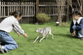 【ペットと泊まれる🐕食材持ち込みOK！古民家グランピング】大自然の中でBBQ♪愛犬🐶と一緒にグランピングで極上の体験があなたをお待ちしております※サウナ利用は別プランとなります