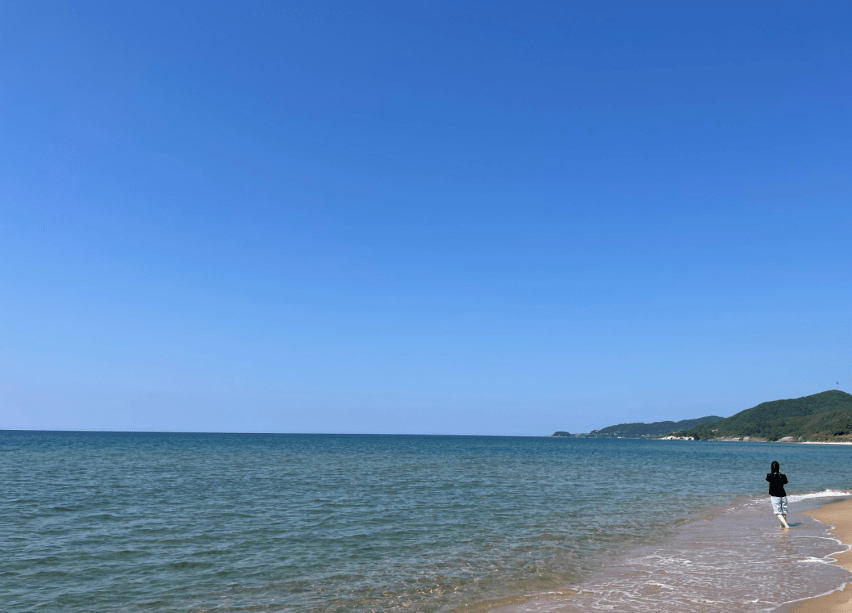 ある日の琴引浜での散歩