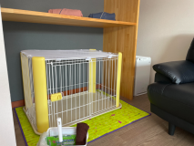 しつけの行き届いた室内小型犬のみ宿泊可能です。
ペットシートやマナーパンツなどのアメニティを用意しております。