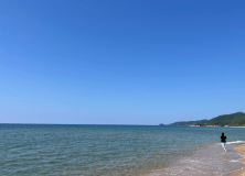 ある日の琴引浜での散歩 ある日の琴引浜での散歩