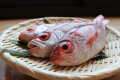 丹後の秋の味覚、超高級魚のアカムツこと「ノドグロ」
脂の乗りと舌の上で溶ける旨味が堪りません！