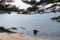白砂青松の琴引浜