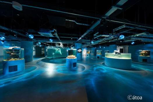 アクアリウムとアートが融合した新感覚の都市型水族館(アトア提供)