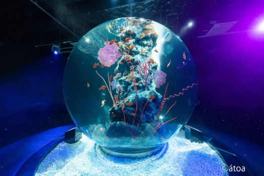 アクアリウムとアートが融合した新感覚の都市型水族館(アトア提供)