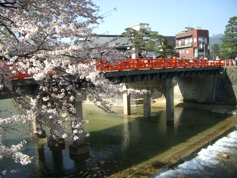 【赤い中橋と春の桜】4月20日前後が見頃。前後5～10日ぐらいは桜を楽しむことができます。
