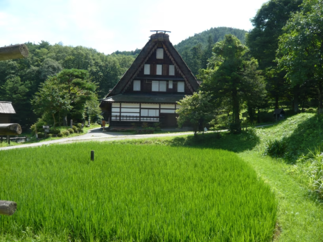 高山市内で合掌造りが見られるのは『飛騨の里』。世界遺産白川郷まで行く時間がない方はぜひこちらへ。