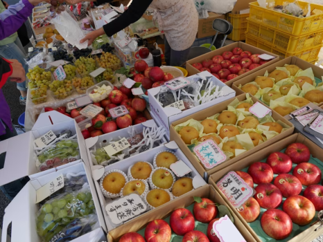 朝市は陣屋前広場と宮川沿いの二か所にあり、新鮮な野菜や果物、花など四季折々の楽しみがあります。