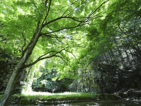 城山公園