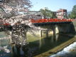[Red Nakabashi Bridge and Spring Cherry Blossoms] The best time to see the cherry blossoms is around April 20. You can enjoy the cherry blossoms for about 5 to 10 days before and after.