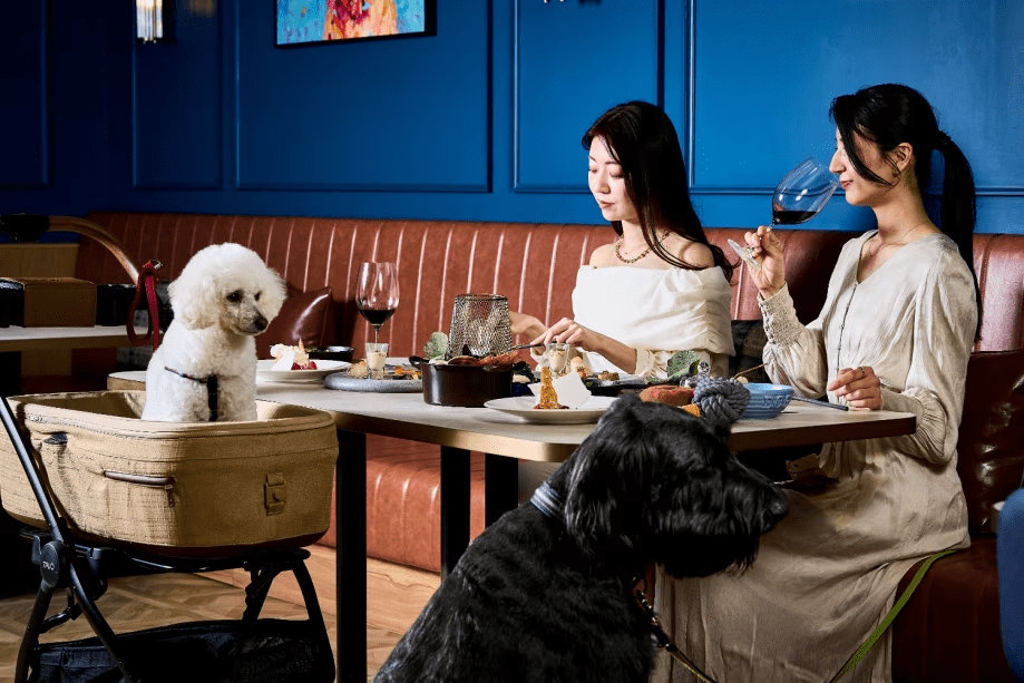 Doggy's Coast Stay【夕朝食付】