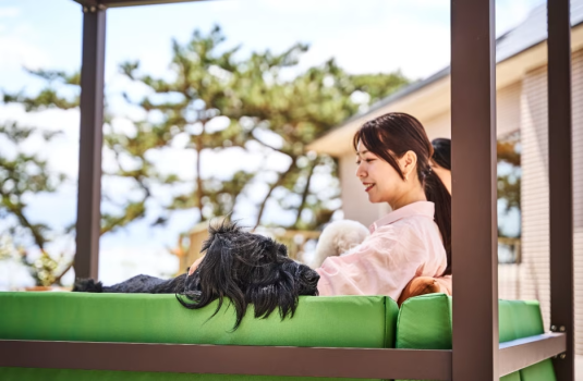 【愛犬と過ごす海辺のリゾート】Doggy's Coast Oaraiをとことん楽しむスタンダードプラン【素泊まり】
