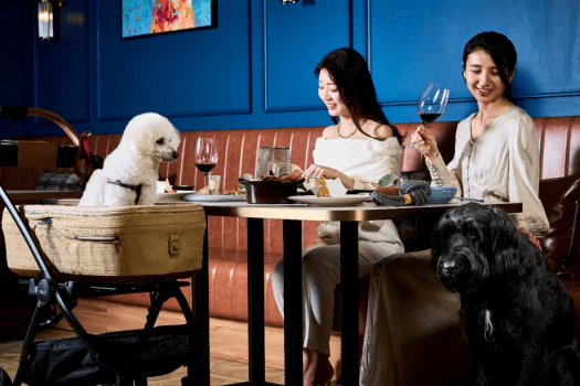 【年末年始特別プラン】ワンちゃんと一緒にお正月を楽しむ【1泊2食付　夕食はレストラン】