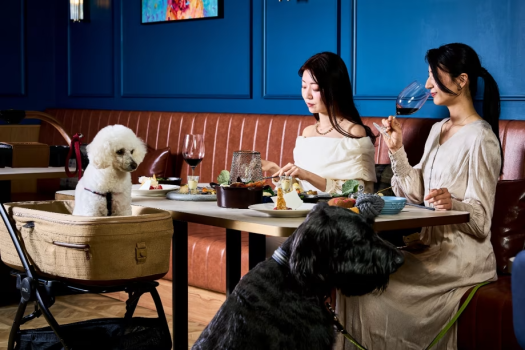 【愛犬と過ごす海辺のリゾート】夕食はワンちゃんと一緒に楽しむひと時を【1泊2食付き】