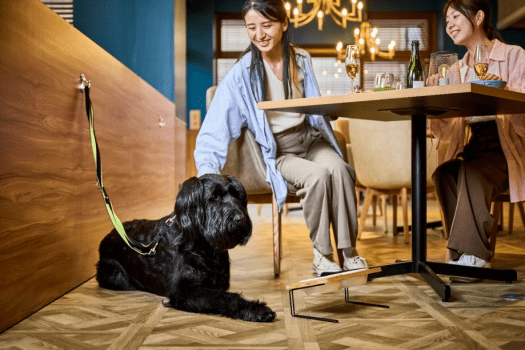 【年末年始特別プラン】ワンちゃんと一緒にお正月を楽しむ【1泊2食付　夕食はレストラン】