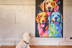 【ドックラン2,300㎡×オールインクルーシブ】お部屋でワンちゃんとゆったり楽しむテイクアウトディナー【1泊2食付き】