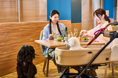 【ドックラン2,300㎡×オールインクルーシブ】夕食はワンちゃんと一緒に楽しむひと時を【1泊2食付き】