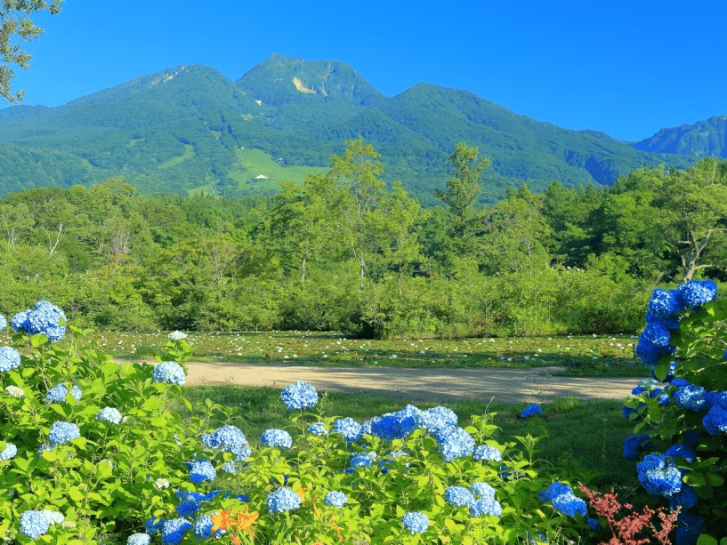 ＜素泊まり＞思い立ってのご旅行やビジネスに最適／温泉は夜中も入浴可／チェックイン24時までＯＫ
