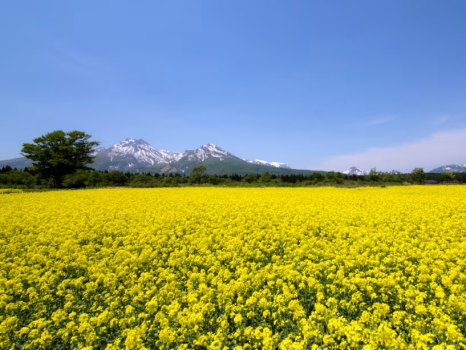 2食付き＜ポーク＆チキン合い盛りグリル＞美味しいグリル料理と、湯の花舞う源泉掛け流し温泉を楽しむ旅