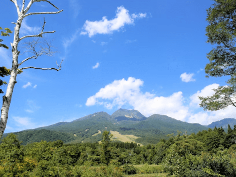 2食付き＜ポークグリル＞熱々で美味しいグリル料理と、湯の花舞う源泉掛け流し温泉を楽しむ旅