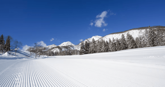＜朝食付きプラン＞スキー・スノボーなら新潟県妙高へ／2026.12.19～2027.3.25／事前クレジットカード決済専用