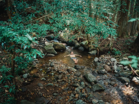 Hiiragi目の前の小川