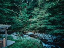 SUGI 目の前の小川