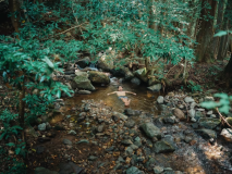 Hiiragi目の前の小川