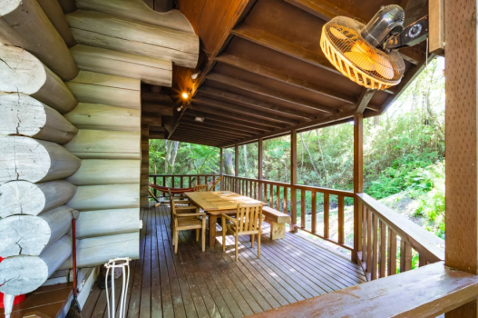 カナディアンブルー カナディアンブルー