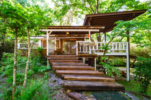 カナディアンブルー カナディアンブルー