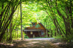 カナディアンレッド カナディアンレッド