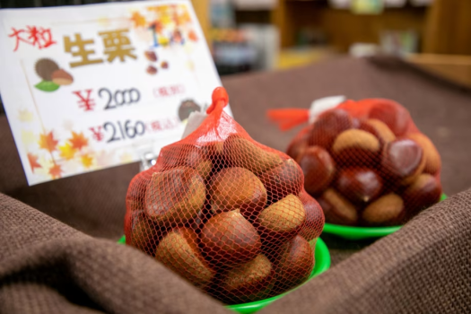 【ビジネス限定】 朝食付きシンプルステイ ★チェックイン21時まで可★