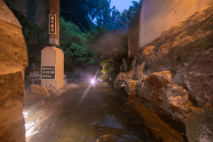 【露天岩風呂付客室】～森林浴気分に浸る湯の贅沢～