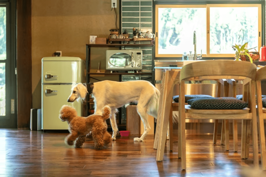 ＜愛犬と泊まれる！＞※公式サイトプラン※プライべートドッグラン＆ペットグッズ充実（夕食付）＜ペットOK＞