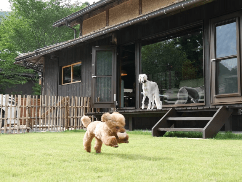 ＜愛犬と泊まれる！＞※公式サイトプラン※プライべートドッグラン＆ペットグッズ充実（素泊まり）ペットOK