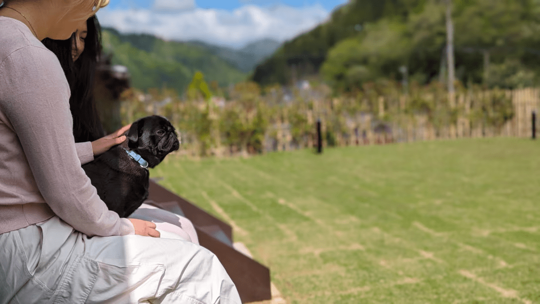 松明　わんちゃんと